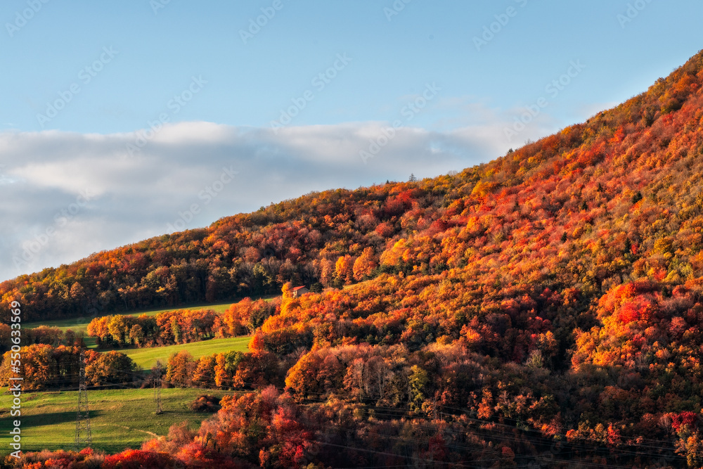 magnifique couleurs du Jura en automne