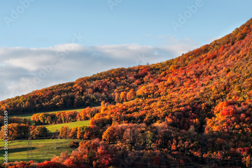 magnifique couleurs du Jura en automne