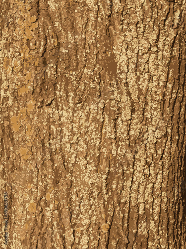 Realistic illustration of maple bark close up. Acer barrel texture. Background from living wood. Skin of the forest nature.