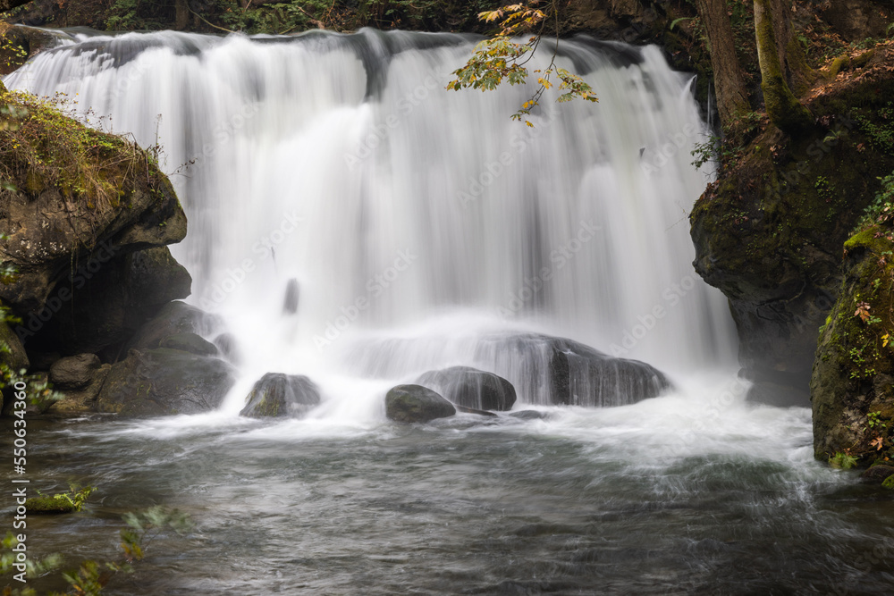 Obraz premium waterfall in the forest