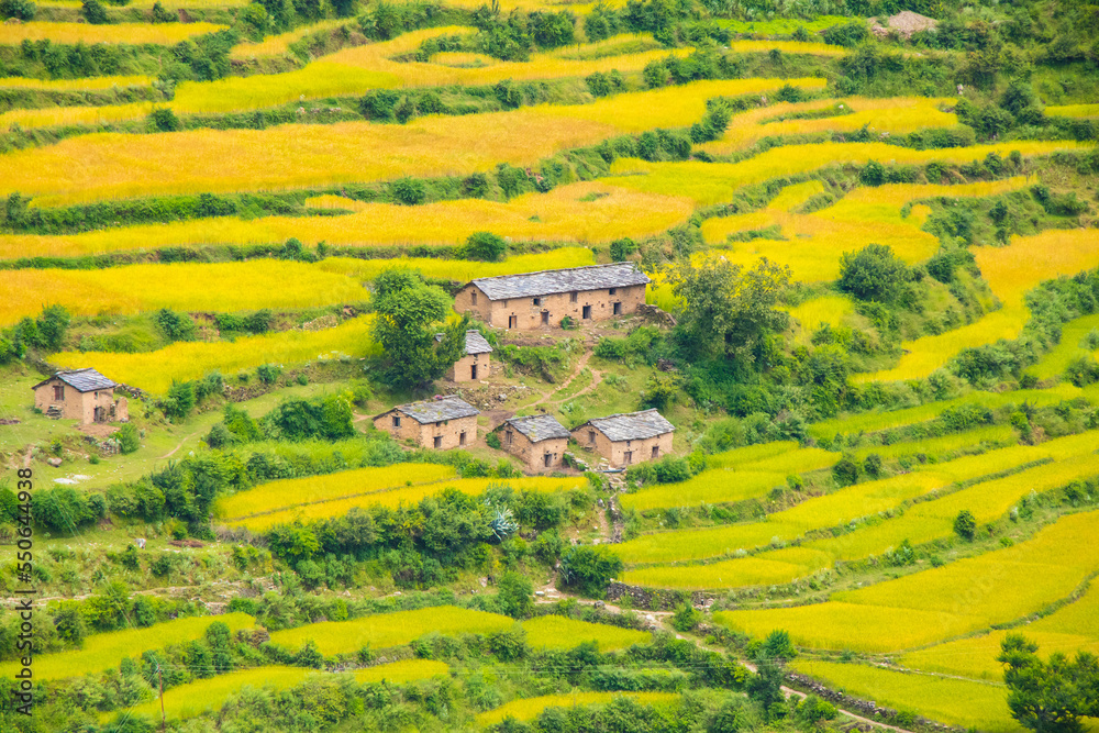 Village and Rice Paddy Fields of Bajura Nepal Himalayas Village and Rice Paddy Fields of Bajura Nepal Himalayas