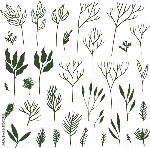 Collection of winter themed botanical elements. Leaves and branches silhouettes PNG illustration.