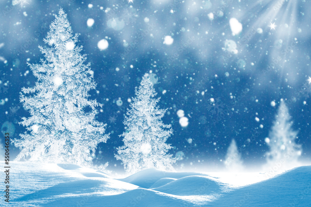  Frozen winter forest with snow covered trees.