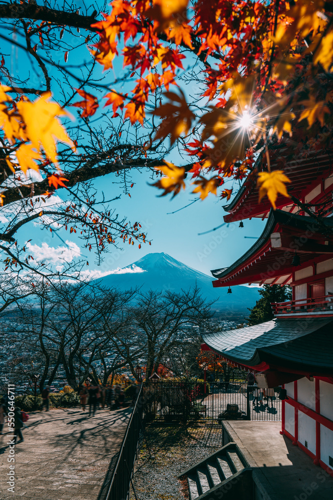 Beautiful landscape of mountain fuji with chureito pagoda around maple leaf tree in autumn season at Yamanashi Japan