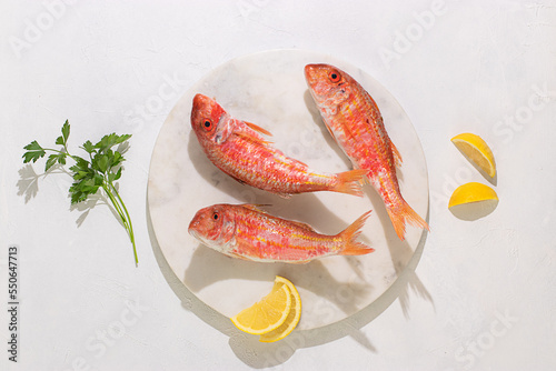 Raw fish in plate on white background photo