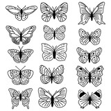 Hand drawn doodle butterflies set. Vector sketch illustration, black outline art collection of insect for web design, icon, print, coloring page