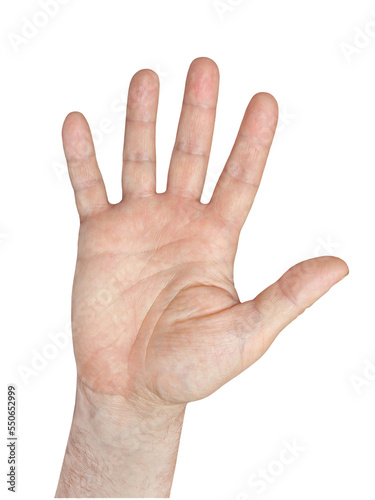 Human hand gesture isolated on transparent background.