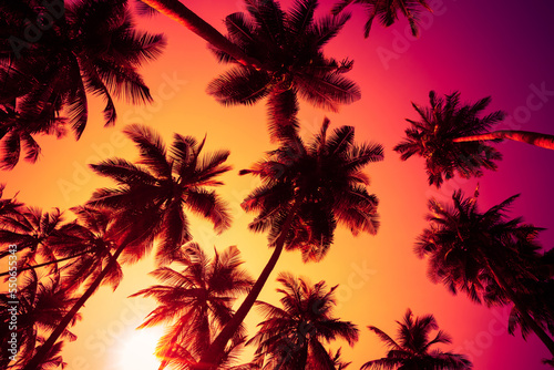 Fototapeta Naklejka Na Ścianę i Meble -  Warm sunset sun shining through coconut palms trees with colorful sky