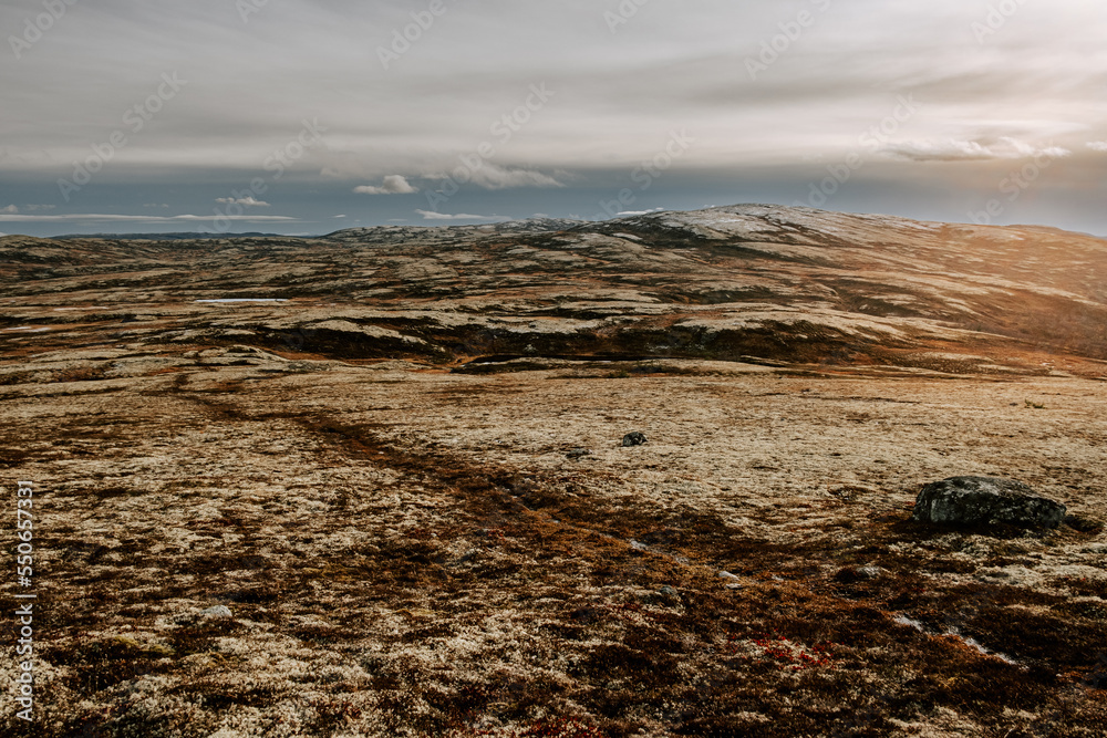Fototapeta premium dark moody northern landscape, path from a mountain Rogne in Norway