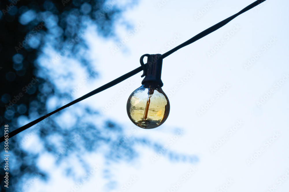 Light bulb hanging on a rope in the street with the reflection of yellow and golden dawn light with the branches of a tree in the background