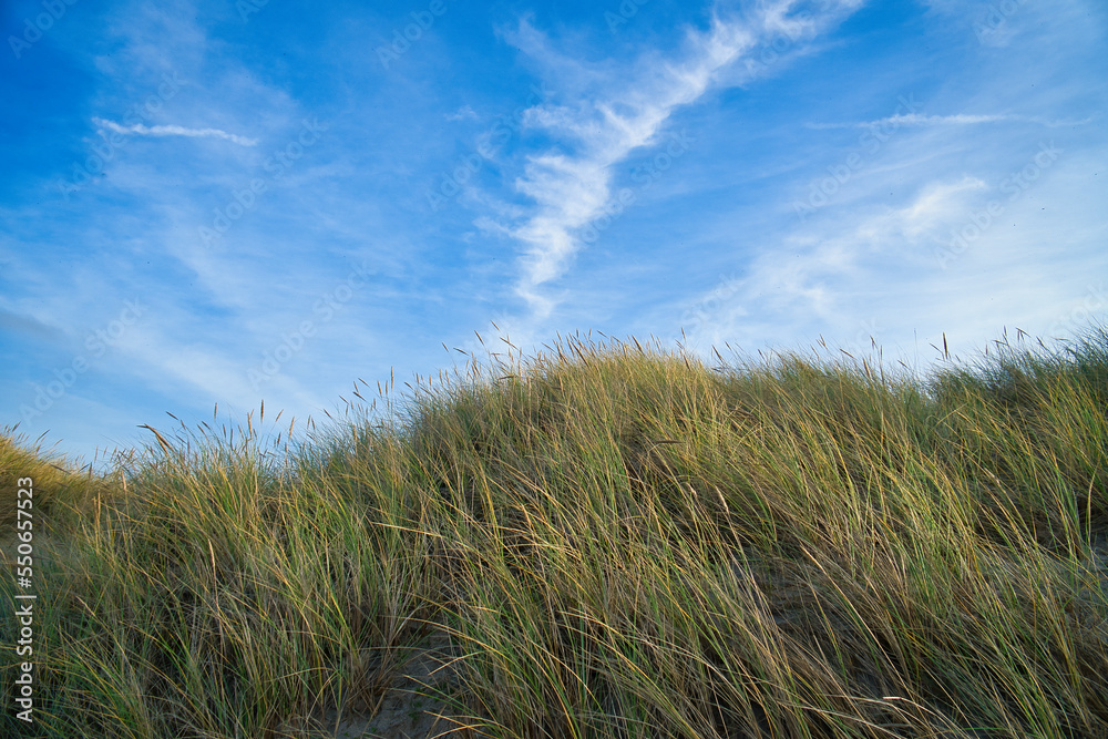 Beach crossing in Denmark by the sea. Dunes, sand water and clouds on the coast Beach crossing in Denmark by the sea. Dunes, sand water and clouds on the coast