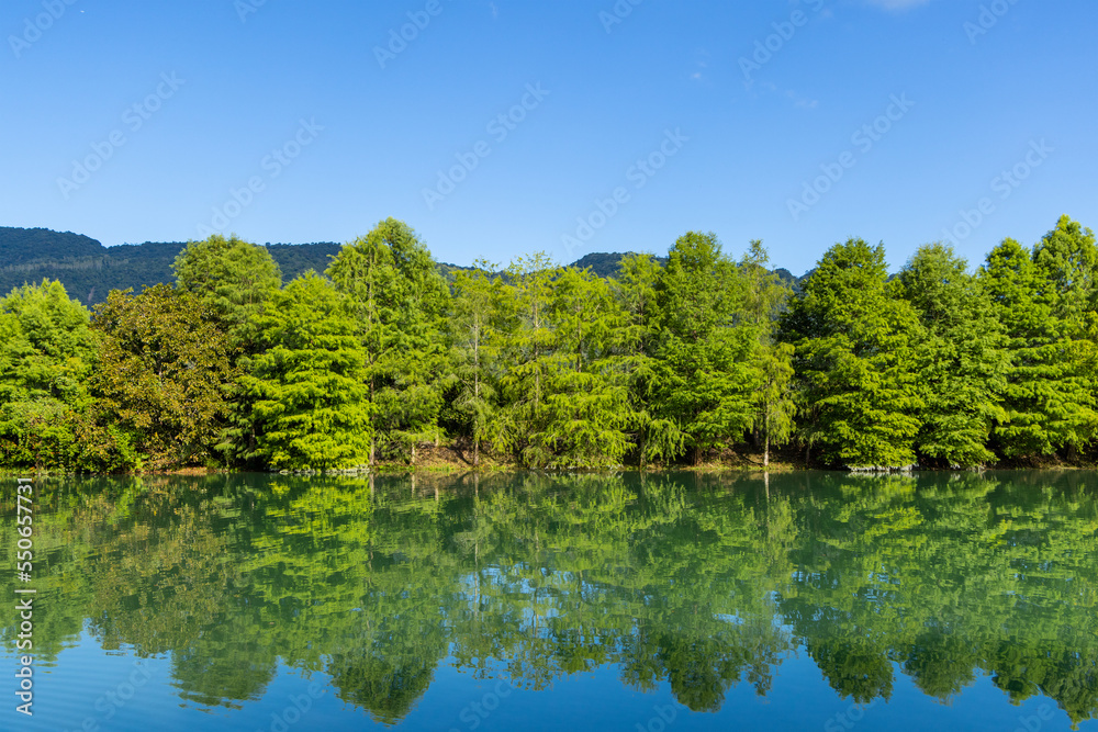 Fototapeta premium Beautiful lake with green tree reflection in Hualien County of Taiwan