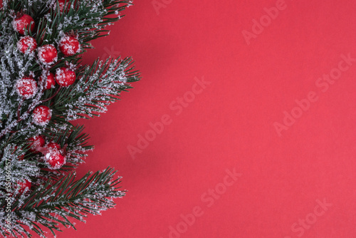Fir green christmas tree spruce branch with holly covered with snow on red background top view with copy space.