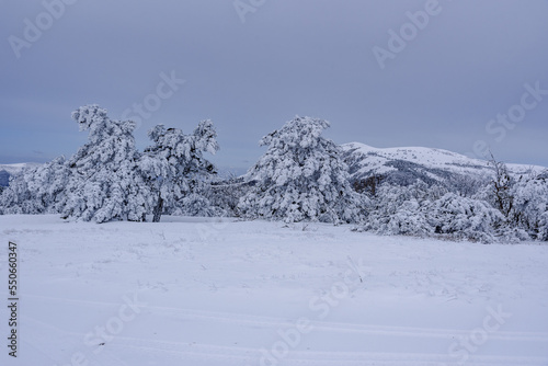 Rocks on Southern Demerdzhi mountain in snow after blizzard in spring. Crimea