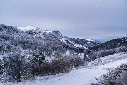 Wallpaper Mural Winter forest on the slopes of Demerdzhi mountain range after blizzard in spring. Crimea Torontodigital.ca