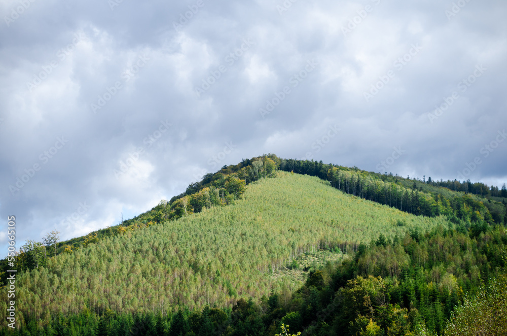 Naklejka premium Beautiful slopes of Carpathian Mountains in Ukraine, dotted with forests and bare valleys at site of deforestation.