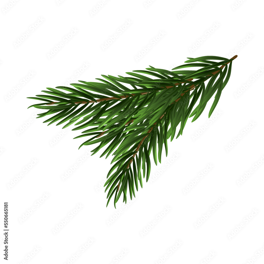 Christmas Tree Branch Christmas Tree Branch