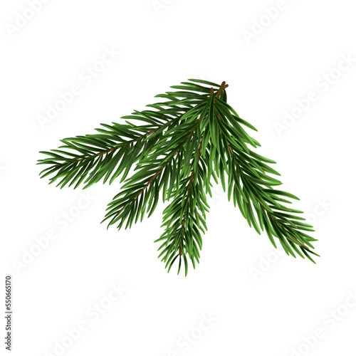 Christmas Tree Branch