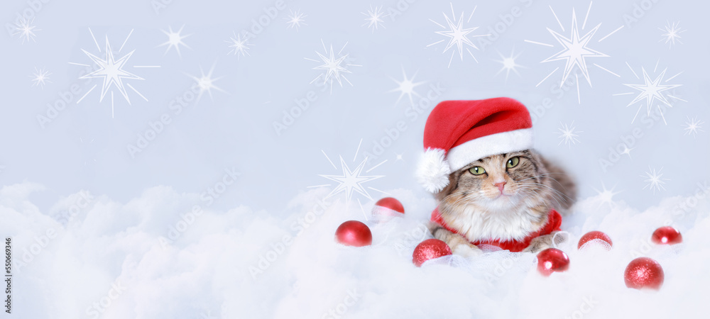 Kitten rests on white cloud. Cat 
in Santa costume looks at the camera. Kitten on a white background. Happy New Year. Merry Christmas. Web banner copy space. Cat in a xmas red hat. Stars. Snowflake  