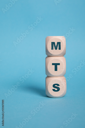 MTS, Make to Stock acronym letters on wooden blocks isolated on light Bluebackground copy space