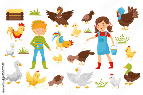 Girls Farmer in Boots Feeding Poultry with Grain on the Yard Big Vector Set