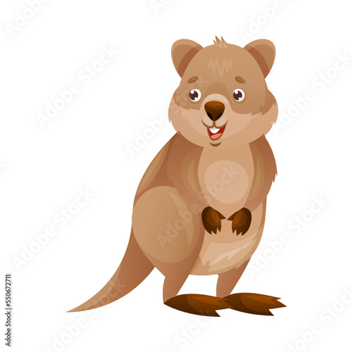 Funny Quokka as Short-tailed Scrub Wallaby with Rounded Ears Standing Vector Illustration