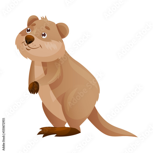 Funny Quokka as Short-tailed Scrub Wallaby with Rounded Ears Standing Vector Illustration