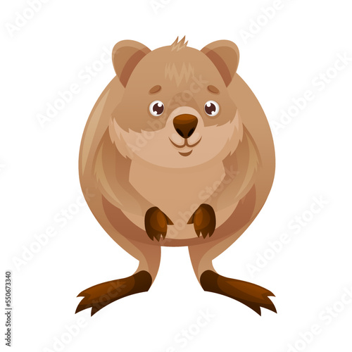 Funny Quokka as Short-tailed Scrub Wallaby with Rounded Ears Standing on Hind Legs and Smiling Vector Illustration