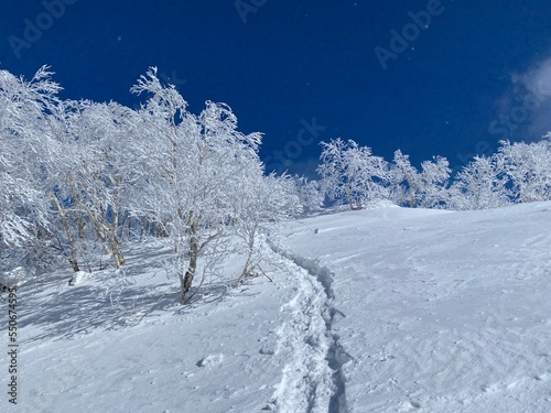 雪山トレッキング