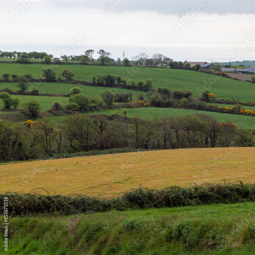 Picturesque fields of Ireland on a spring day. Beautiful Irish countryside, landscape. Green grass field with trees