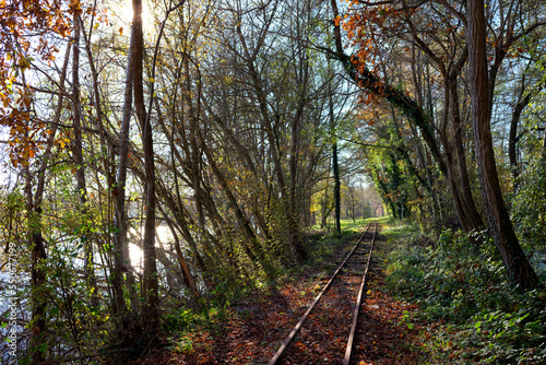 Railroad track in the French Gâtinais Regional Nature Park. Seine et Marne country