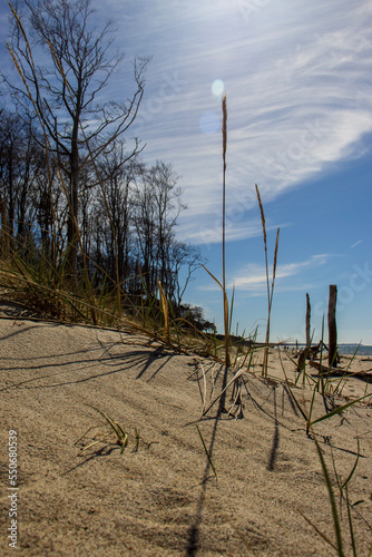 sand dunes on the beach