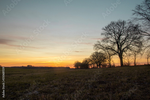 sunset in the field © pics_about_guenny