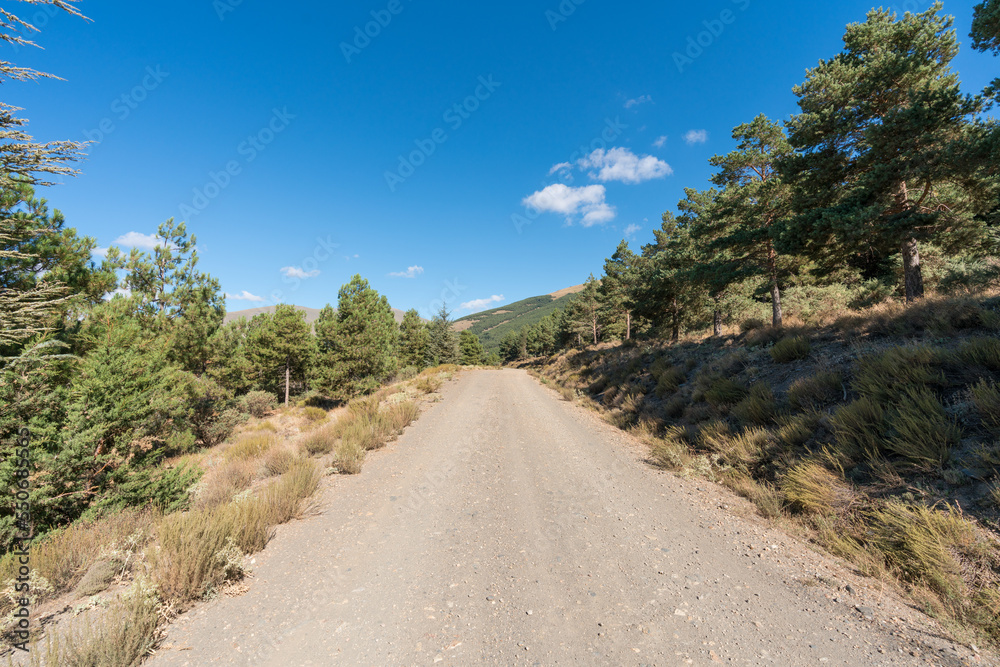 dirt road in Sierra Nevada in southern Spain