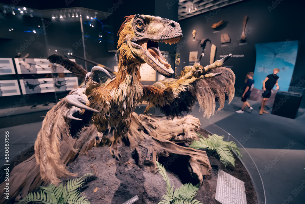 26 July 2022, Munster Natural History Museum, Germany: velociraptor or ...