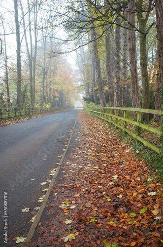 Quiet autumnal road in Charlbury, Oxfordshire, UK