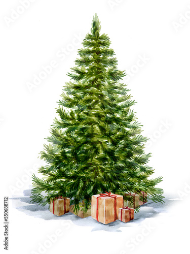 PNG Illustration of a spruce tree hand-drawn in watercolor. Christmas tree.