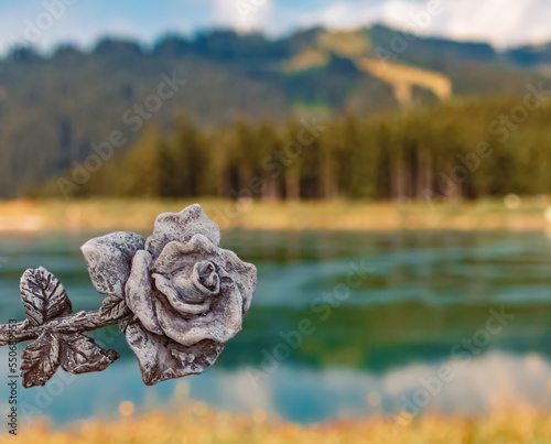 Details of a beautiful stone rose at the famous Schmittenhoehe summit  Zell am See  Zeller See lake  Salzburg  Austria