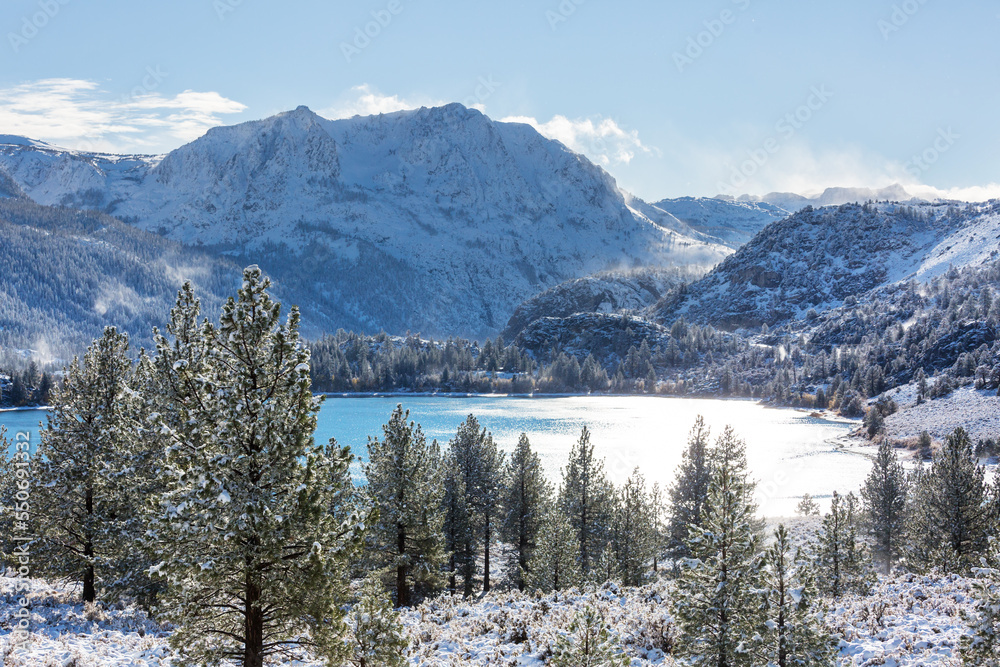 Winter in Sierra Nevada