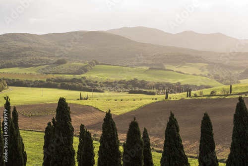 Landschaft bei Cecina in der Toskana im Herbst