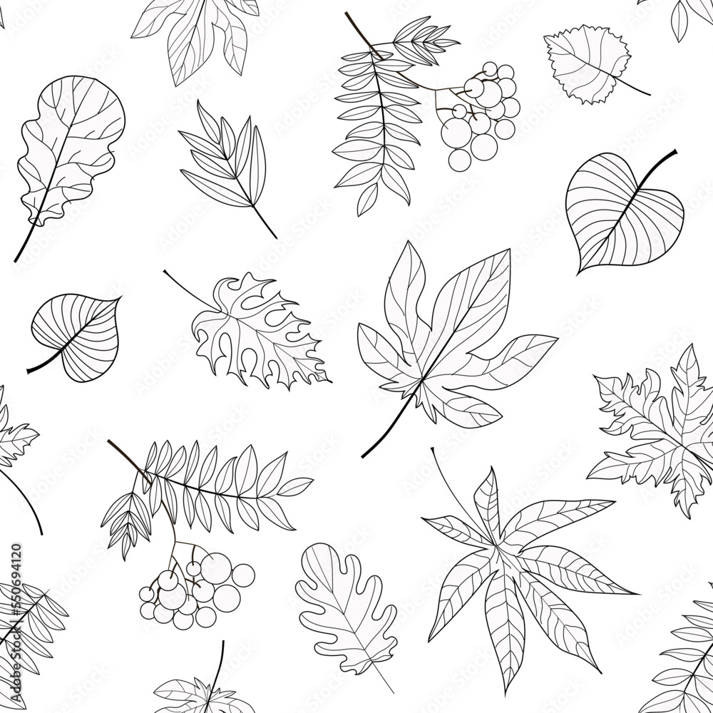 Leaves seamless pattern. Leaves in outline style. Pattern of rowan, birch, chestnut, oak, maple leaves. Vector illustration