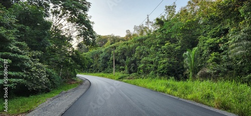 road in the forest, Gabon