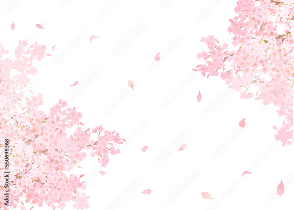 光差し込む美しく華やかな満開の薄いピンク色の桜の花ー花びら舞い散る幻想的な白バックフレーム背景素材