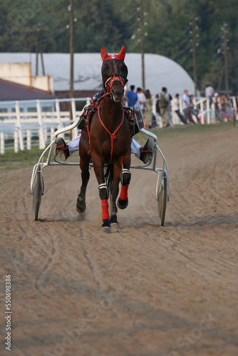 Horse and rider running  at horse races © IvSky