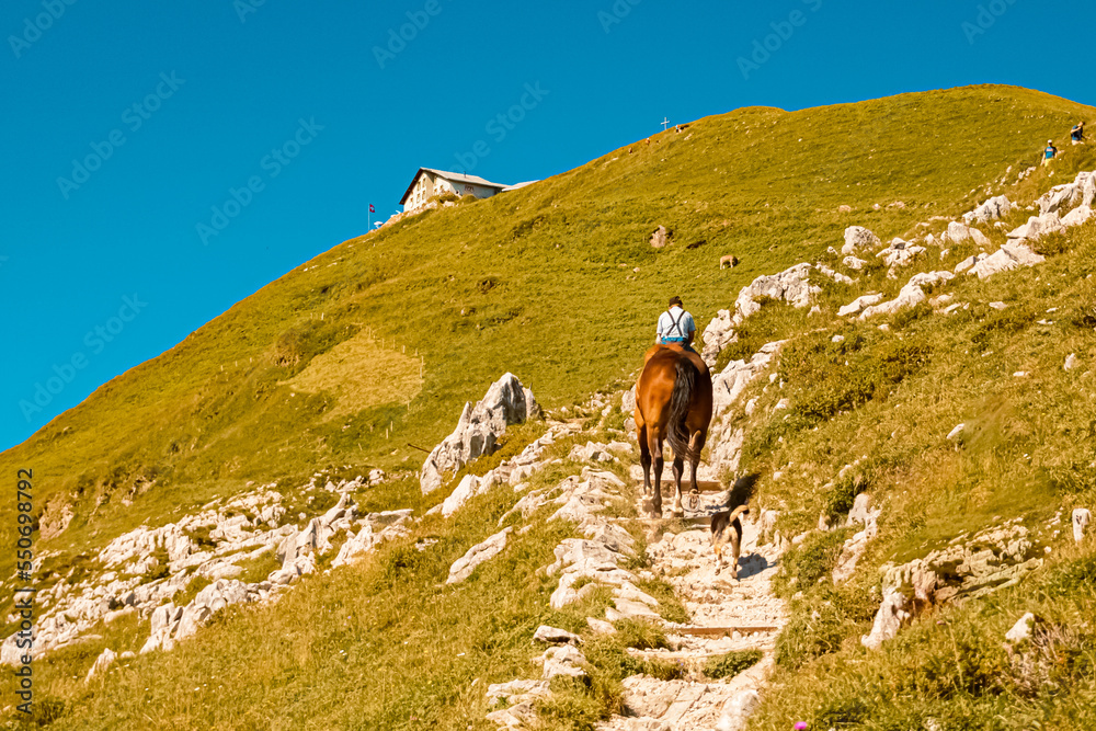 A mountain farmer riding his horse to the pasture grounds on a steep narrow path at the famous Ebenalp, Appenzell, Alpstein, Switzerland