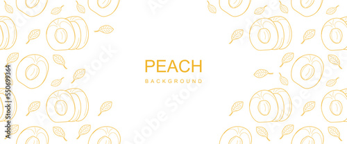 Summer fruit background in copy space. Linear peaches with leaves. Hand drawn peaches frame. Vegan food made from organic fruits. peaches fruits background vector illustration eps10