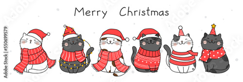 Hand drawn vector illustration character design cute cat