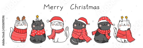 Hand drawn vector illustration character design cute cat for christmas and new year.