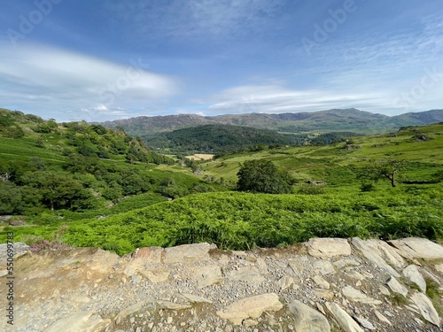 Landscape, Nant Gwynant, North Wales photo