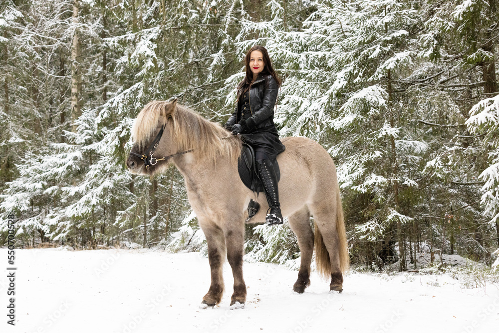 Woman dressed in black with light brown Icelandic horse. Woman dressed in black with light brown Icelandic horse.